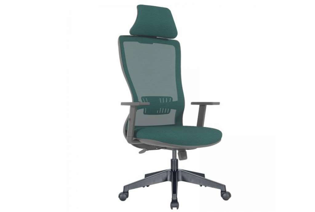 Arya Yönetici Koltuğu